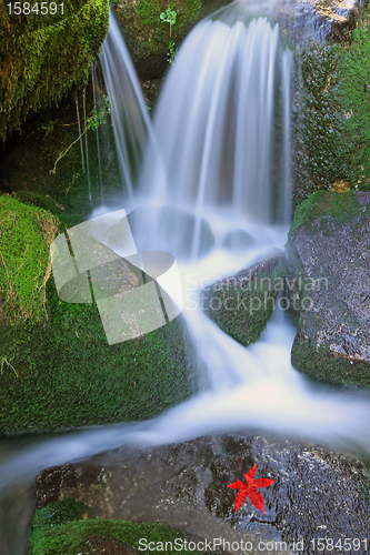 Image of Flowing water the river in Portugal