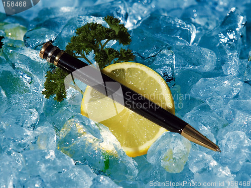 Image of Executive pen on ice