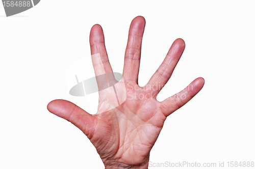 Image of hand shows stop