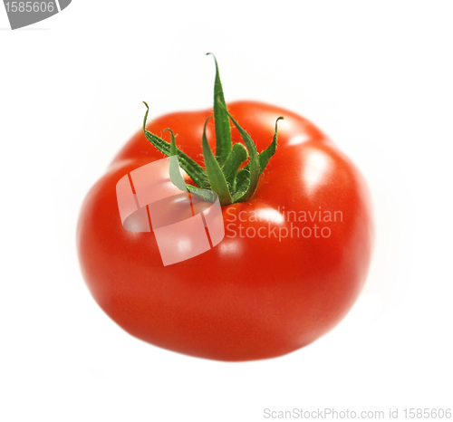 Image of red tomato