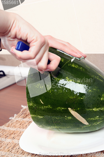 Image of Watermelon