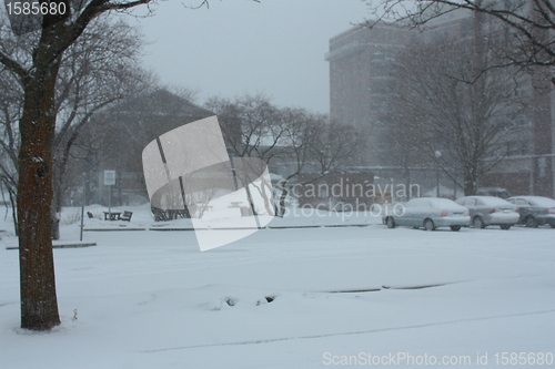 Image of Picture taken during a winter storm that passed by the city - in a parking lot