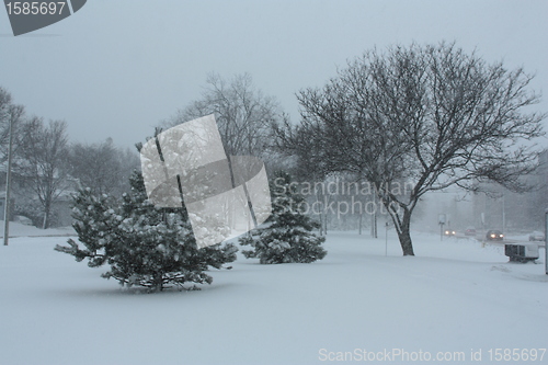 Image of Picture taken during a winter storm that passed by the city - park and trees covered with snow 