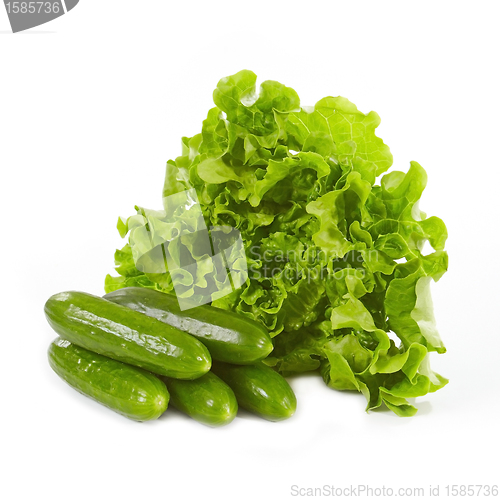 Image of green lettuce and cucumbers