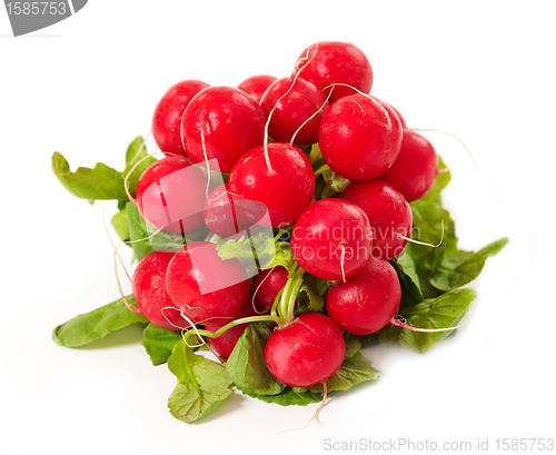 Image of radish