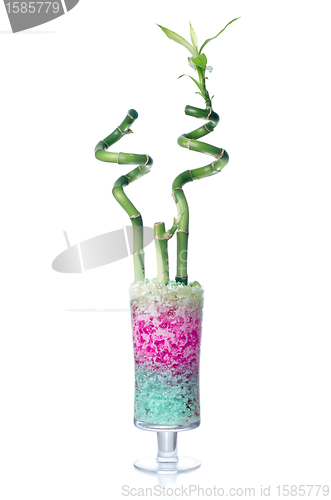 Image of Glass jar with bamboo 