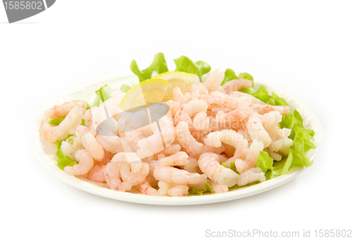 Image of fresh raw prawn