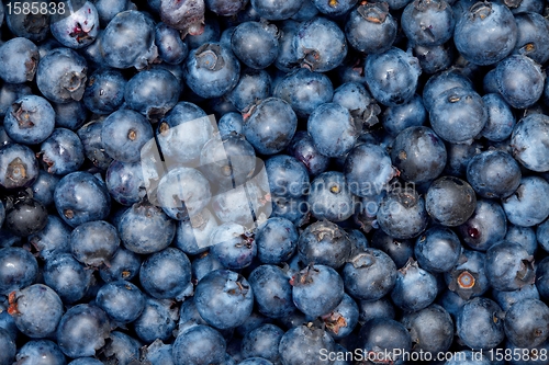 Image of Blueberries