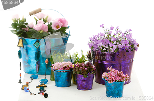 Image of pink flowers buckets