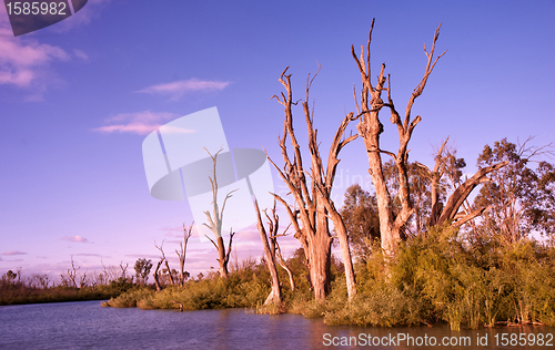 Image of sunrise on the murray river
