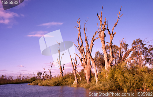 Image of sunrise on the murray river