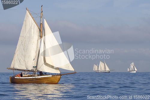 Image of Tender with white sails