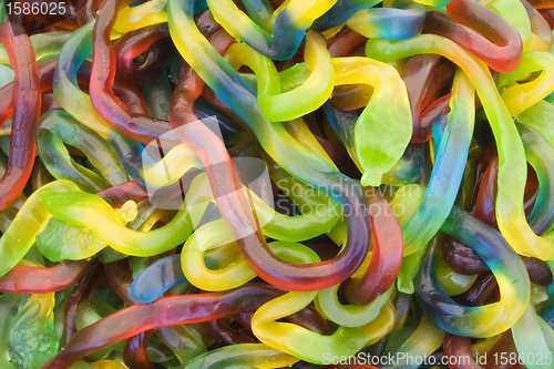 Image of Jelly worms
