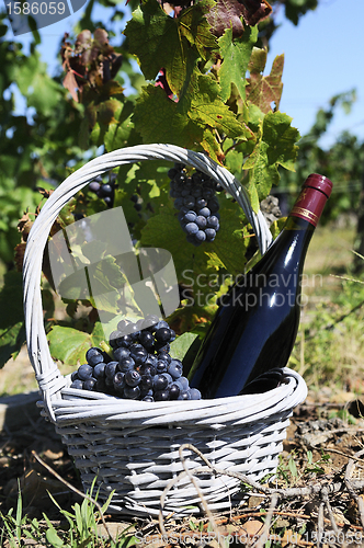 Image of Bottle of red wine