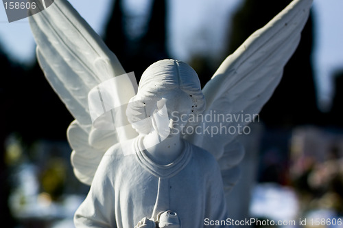 Image of angel