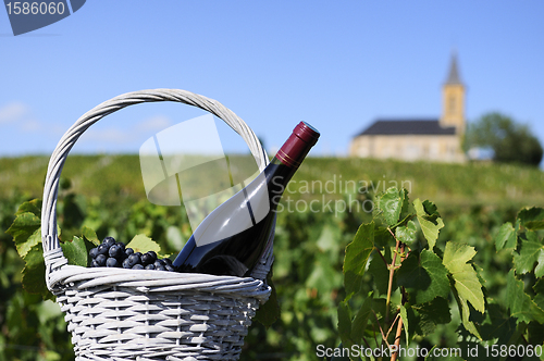Image of bottle of red wine in countryside