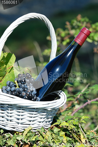 Image of bottle of red wine