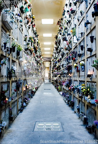 Image of cemetery