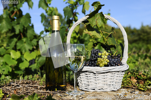 Image of harvest and wine