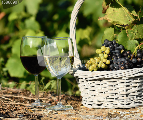 Image of harvest and wine