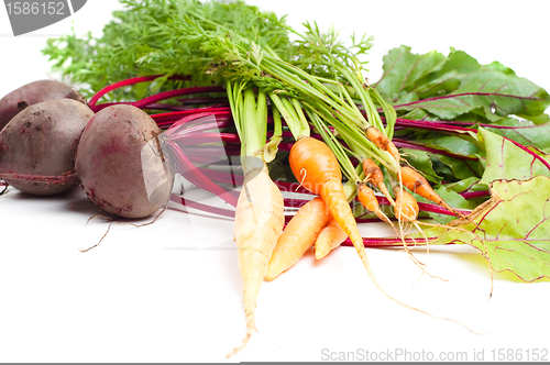 Image of Beet and carrot