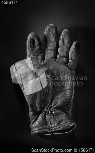 Image of Old Glove