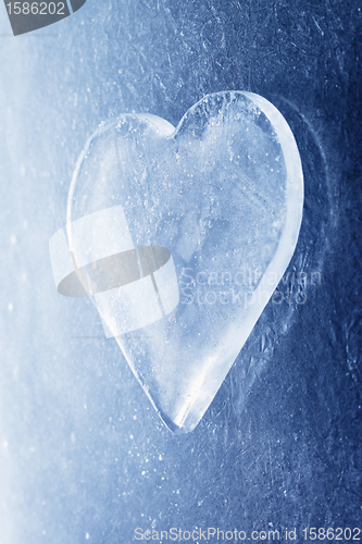 Image of Heart of Ice