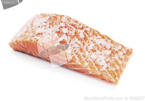 Image of Salted Salmon