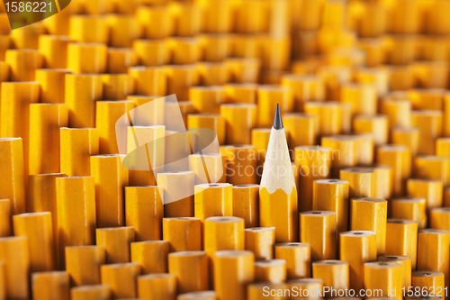 Image of Standing out