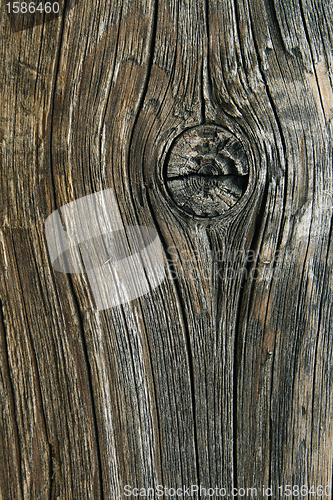 Image of Old cracked wood