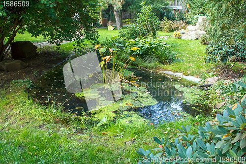 Image of Summer Garden with a Pond