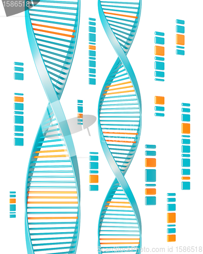 Image of dna