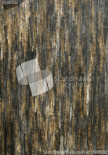 Image of Old cracked wood