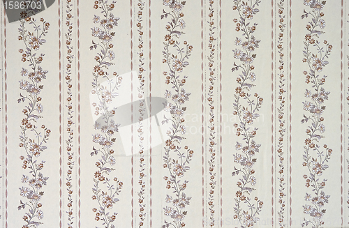 Image of Old wallpaper