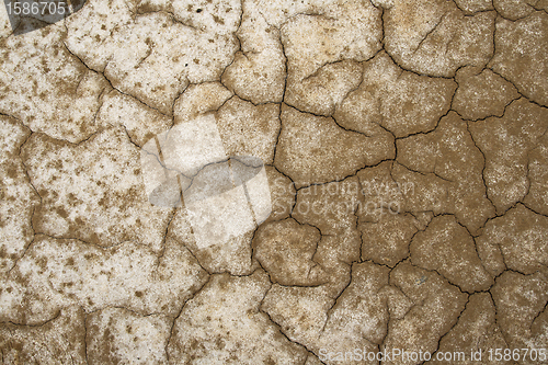 Image of Cracked earth