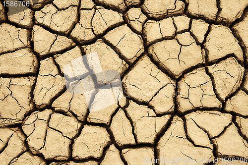 Image of Cracked earth