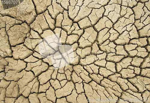 Image of Cracked earth