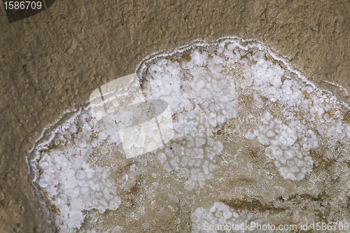 Image of Bottom of salty lake Baskunchak