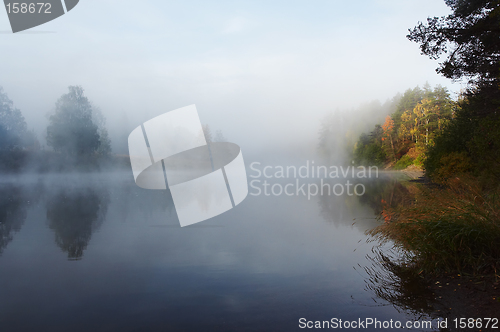 Image of Morning mist