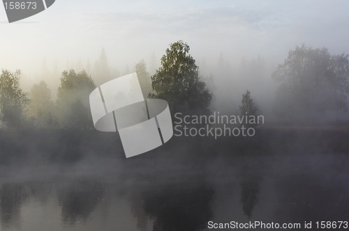 Image of Morning mist