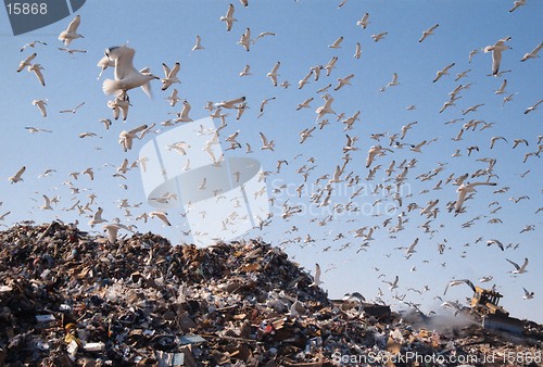 Image of City dump