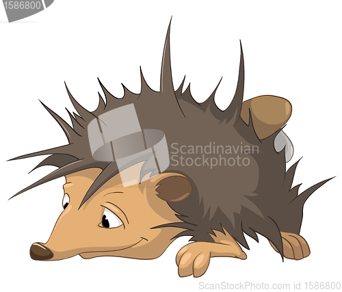 Image of Cartoon Character Hedgehog