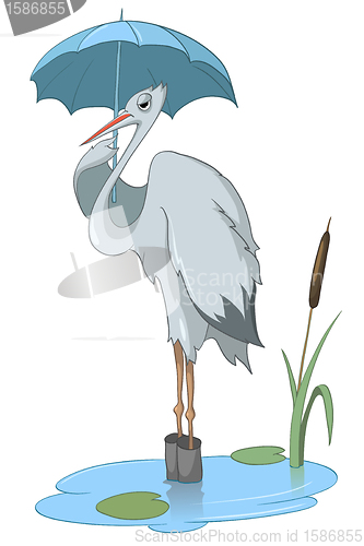 Image of Cartoon Character Stork