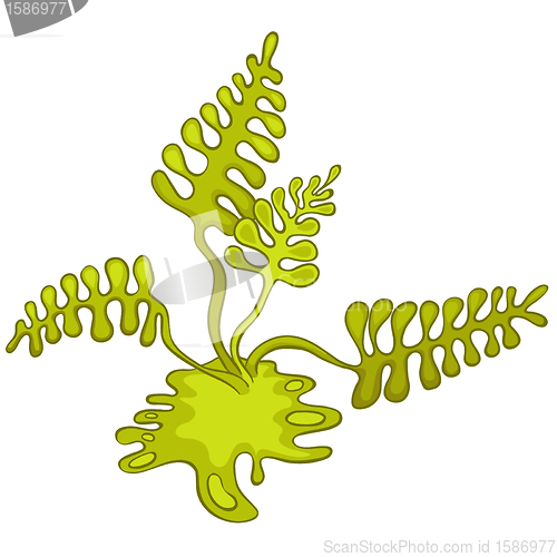 Image of Cartoon Alga