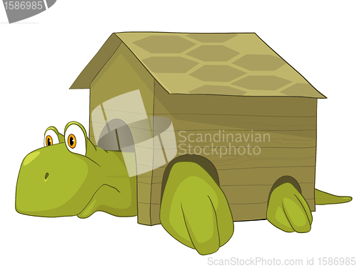 Image of Cartoon Character Turtle