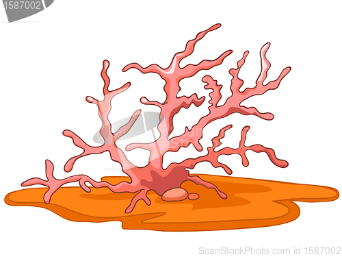 Image of Cartoon Alga