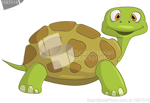 Image of Cartoon Character Turtle