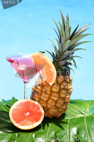 Image of Tropical Cocktail