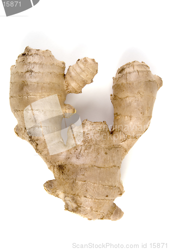 Image of Ginger Root, Isolated