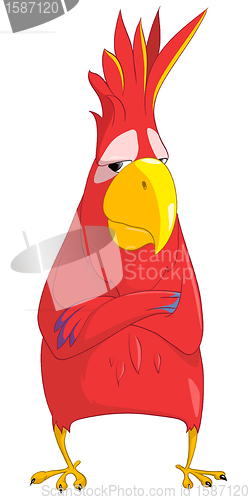 Image of Cartoon Character Parrot